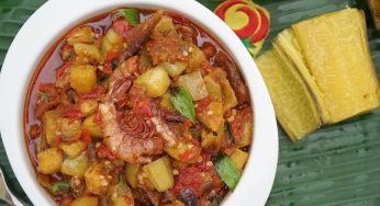 Make The Tastiest Garden Egg Stew With This Yummy Recipe