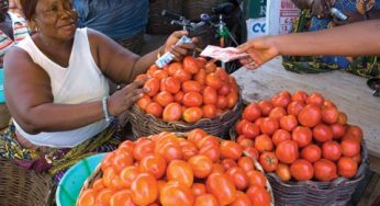 You Wouldn’t Joke With Tomatoes Again With These 5 Health Benefits