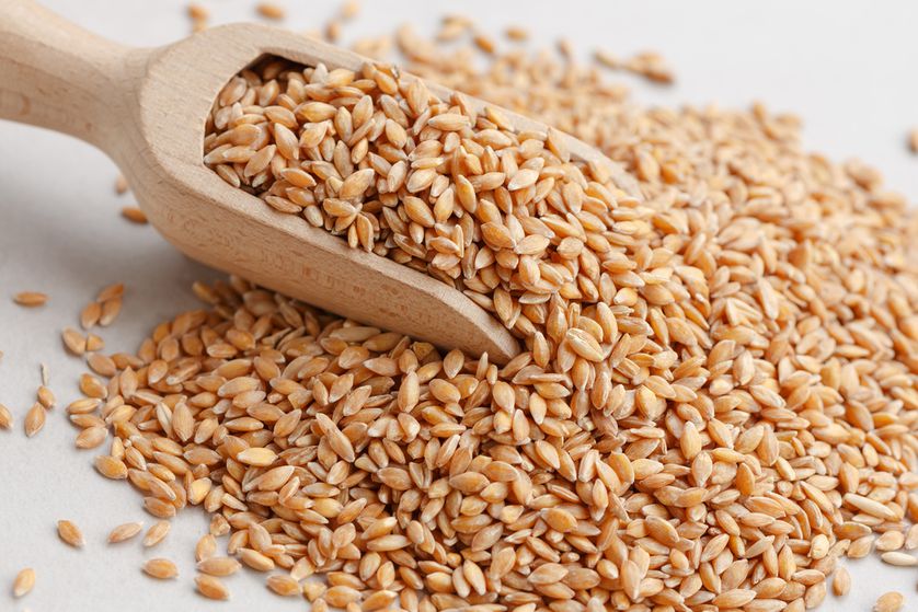 Wheat Health Benefits