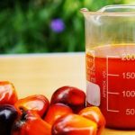 Beauty Benefits Of Palm Oil For Skin
