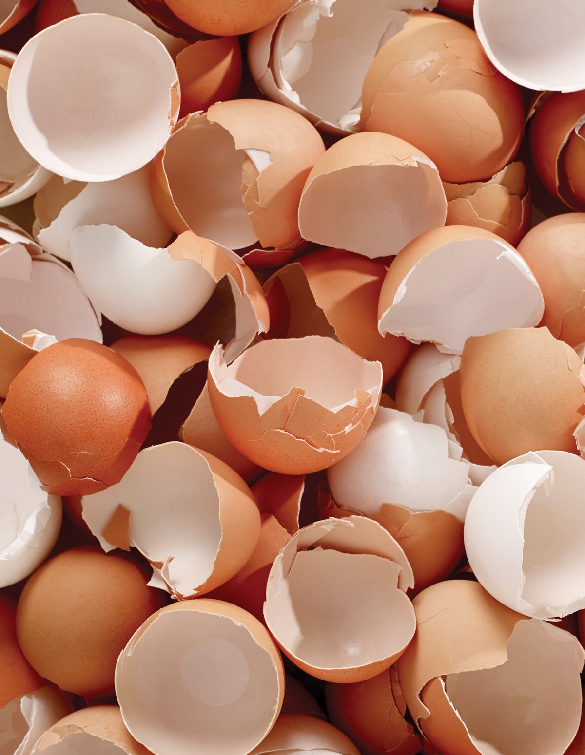 6 effective uses of eggshells FabWoman