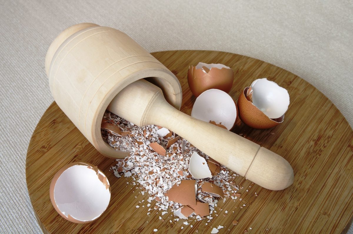 uses of eggshells