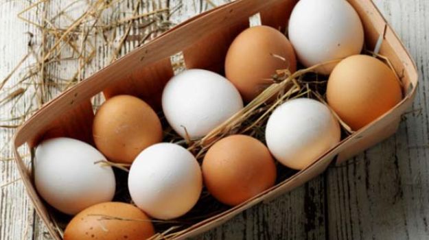 Egg Health Benefits
