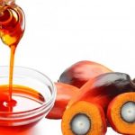 Palm Kernel Oil Nutritional Benefits