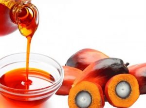Palm Kernel Oil Nutritional Benefits