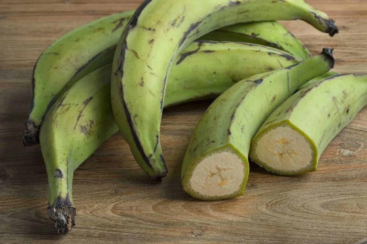 Unripe Plantain Health Benefits