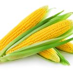 Corn Health Benefits, food for healthy uterus