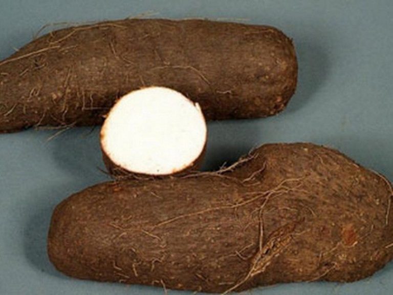 Health And Nutritional Benefits Of Water Yam FabWoman