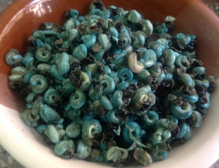 Health And Nutritional Benefits Of Periwinkle FabWoman