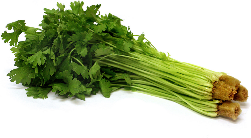 Celery Health Benefits