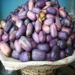 Ube Health Benefits