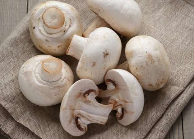 mushrooms health benefits