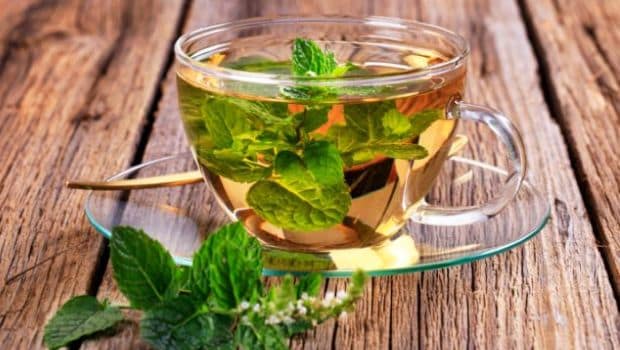 Peppermint Tea for weight lose 1