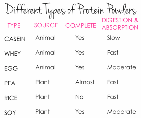 protein powder gain weight