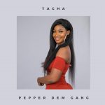 bbnaija 2019 female housemates