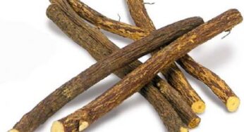 5 Amazing Benefits Of Licorice Root To Your Health