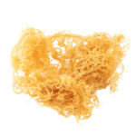 Sea Moss Benefits For Women