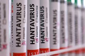 Hantavirus
