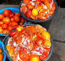 Rotten Tomatoes
