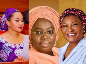 Women Seeking Senatorial Seats